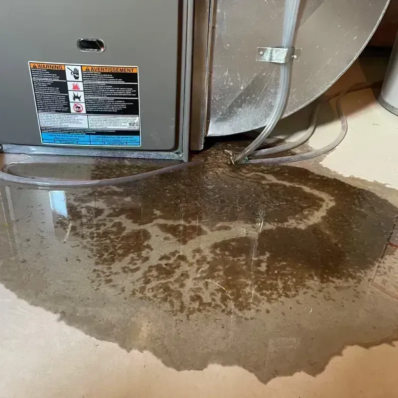 Appliance Leak Cleanup in Frederick, CO